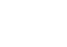 Shahlon Group logo