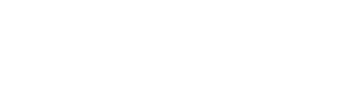 Vortex Flex logo