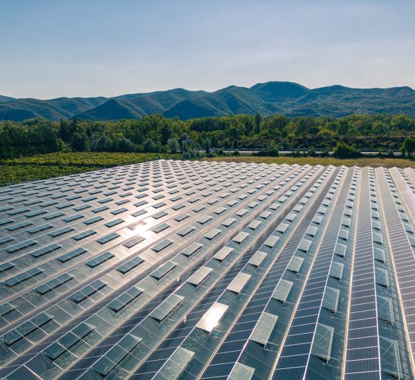 greenhouse-growing-vegetables-with-mounted-photovoltaic-panels